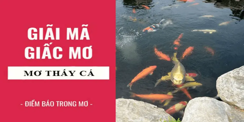 giai-ma-giac-mo-thay-ca-min_11zon