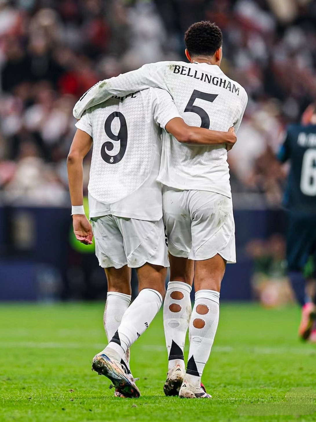 各个项目都 各个项目都